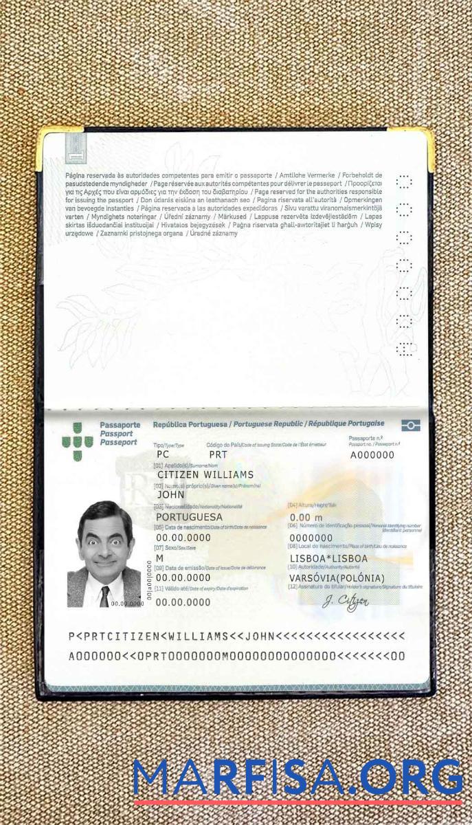 Downloadable Portugal passport (2006 2017) photo look download for verification